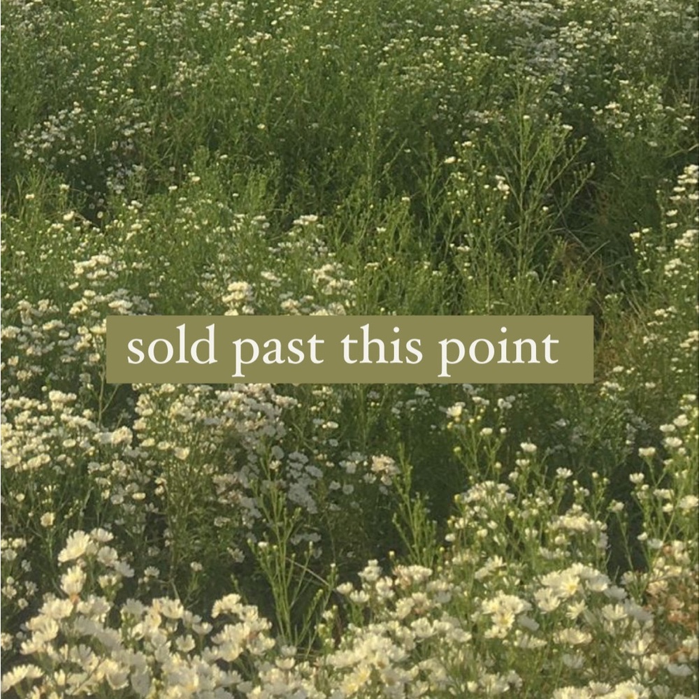 Sold Past This Point